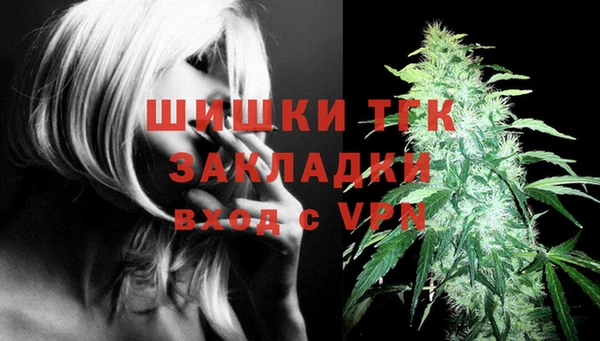 ECSTASY Пестово