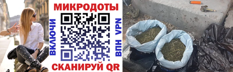 купить наркотик  Зеленоградск  Псилоцибиновые грибы ЛСД 